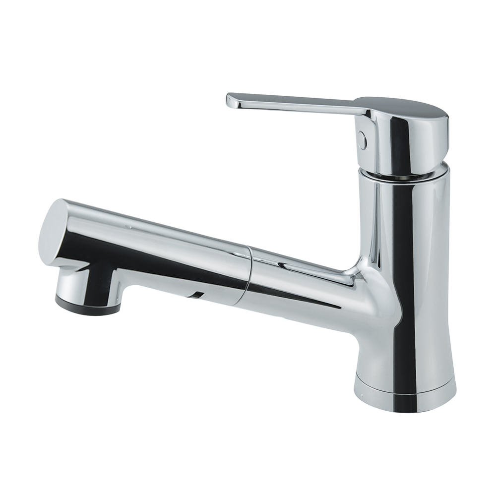 浄水器・整水器 SANEI Single Mixing Faucet Pull Out Hose 46092000 46174000 Grohe Kitchen Faucet Hose Replacement, Ladylux
