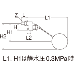 姿図画像